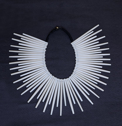 Bone Pipe Leather Necklace